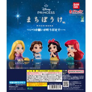 Disney Princess Machiboke ~ Until the Day My Wish Comes True... ~